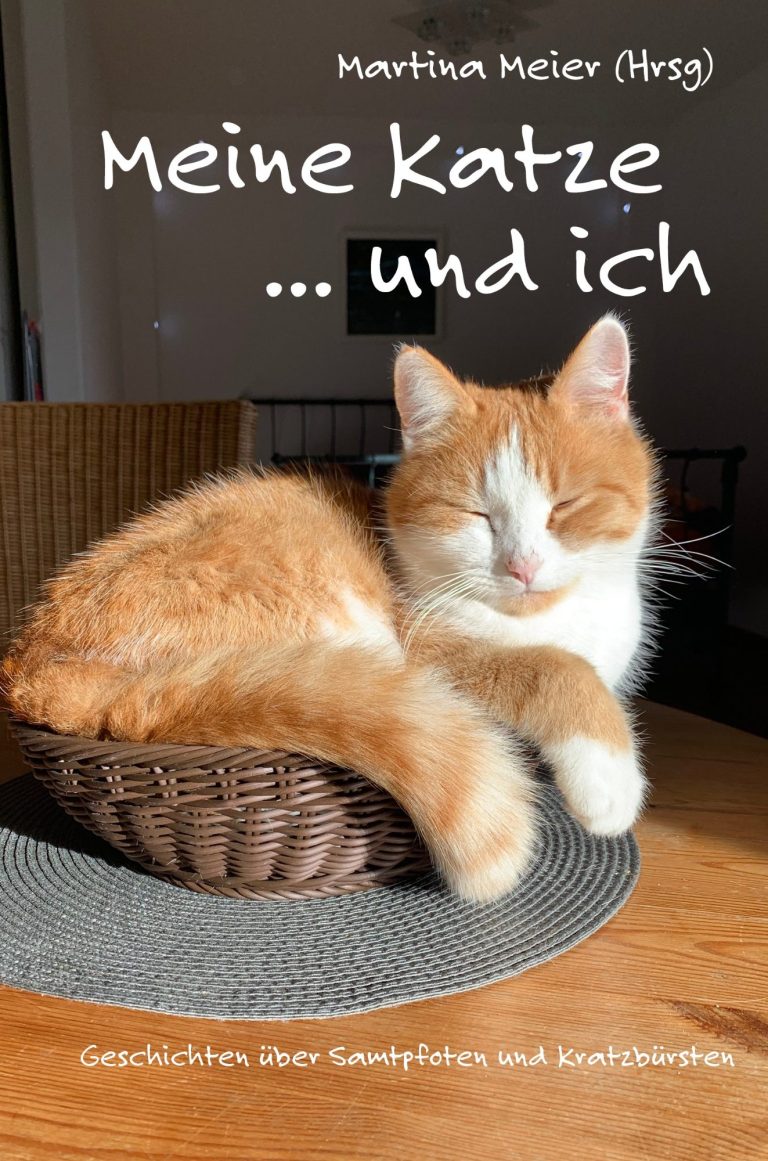 Ein Frau sitzt an einem Tisch mit Büchern und Glücksmomenten, umgeben von bunten Deko-Elementen.